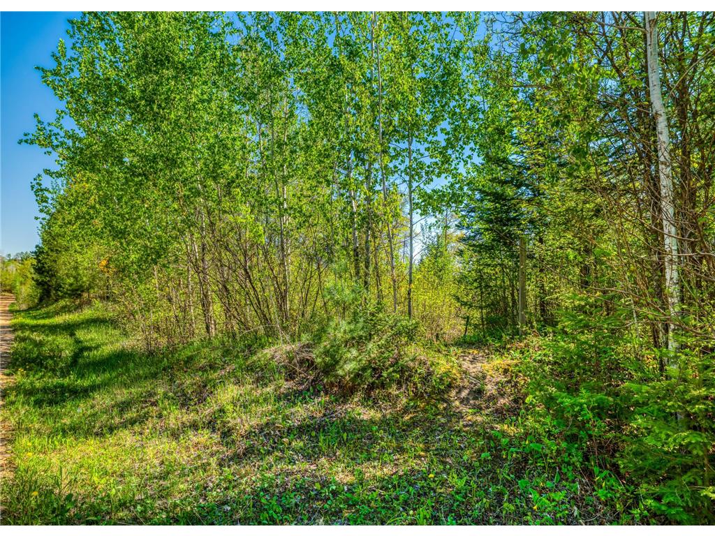 TBD S Thunder Lake Drive NE Remer MN 56672 - Thunder 7077246 image6