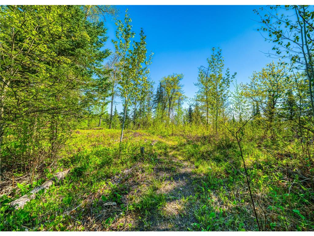TBD S Thunder Lake Drive NE Remer MN 56672 - Thunder 7077246 image7