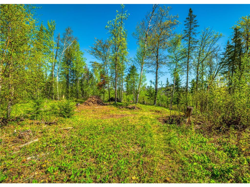 TBD S Thunder Lake Drive NE Remer MN 56672 - Thunder 7077246 image8