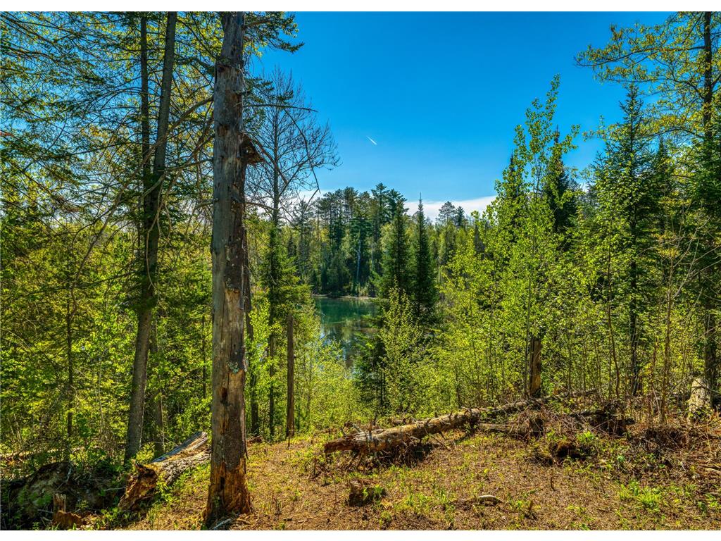 TBD S Thunder Lake Drive NE Remer MN 56672 - Thunder 7077246 image9