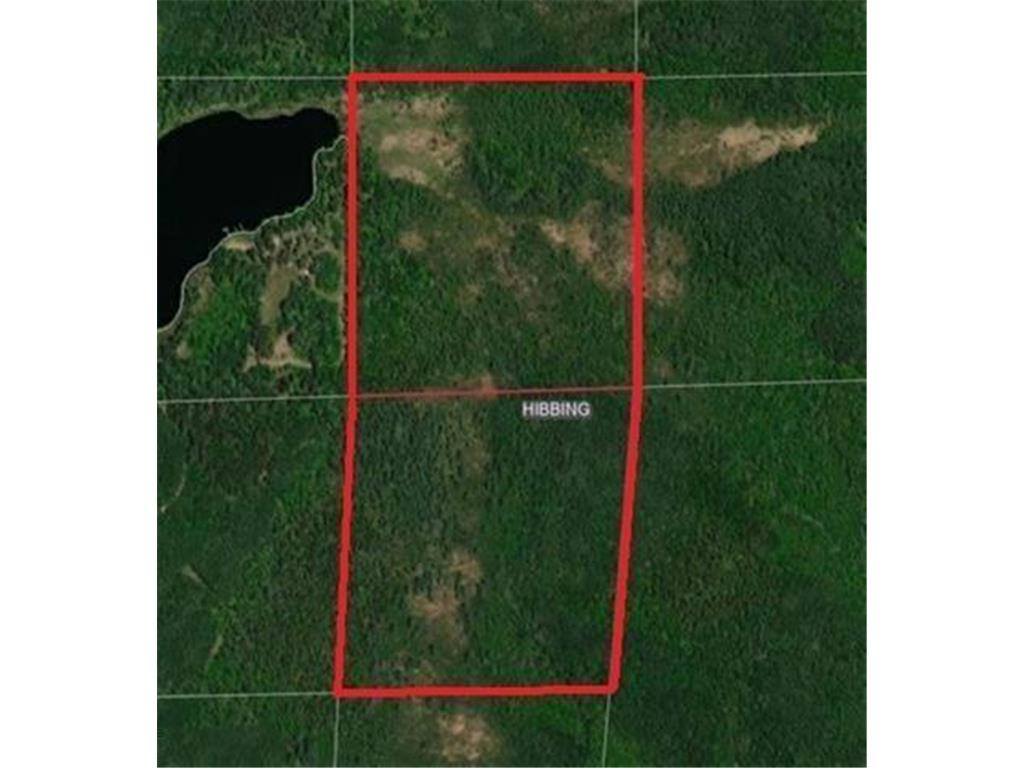 TBD S Town Line Rd Hibbing MN 55746 7105527 image1