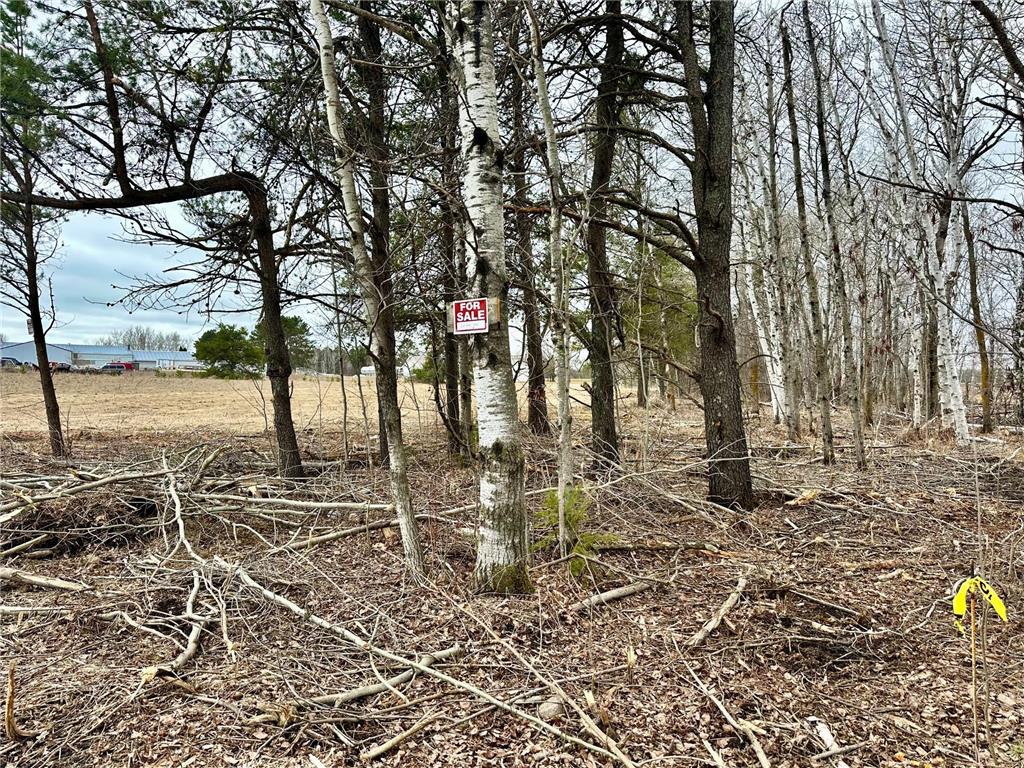 TBD SE 11th Street Menahga MN 56464 7028844 image5