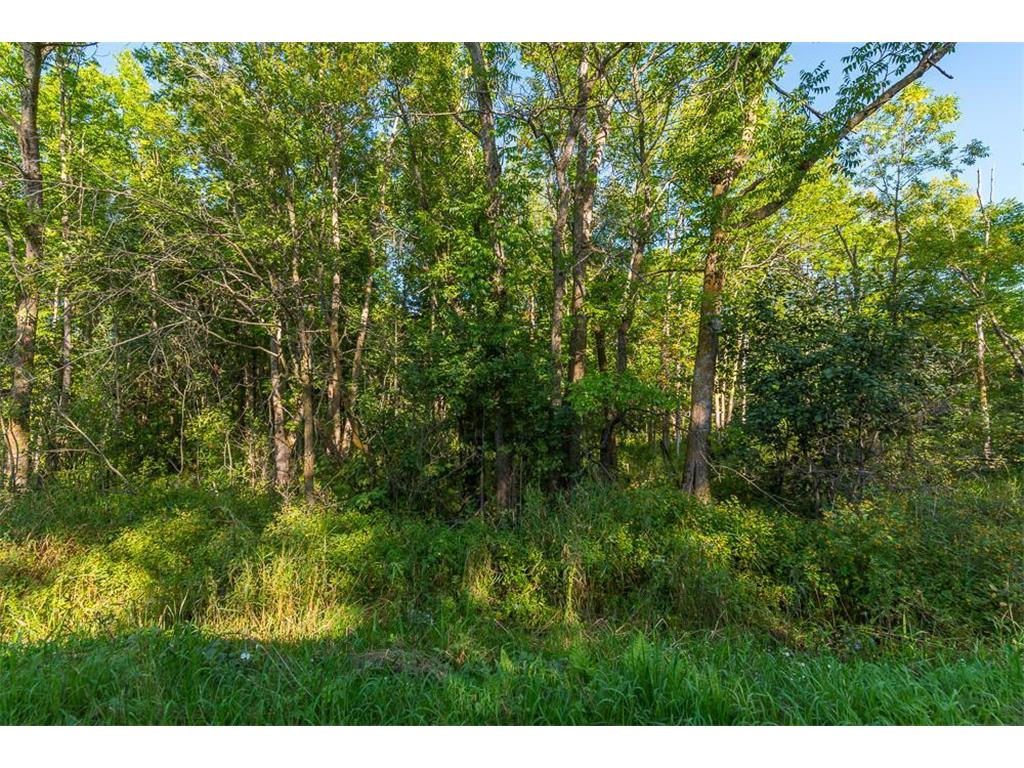 TBD SW 71st Street Moose Lake Twp MN 56479 6423767 image1