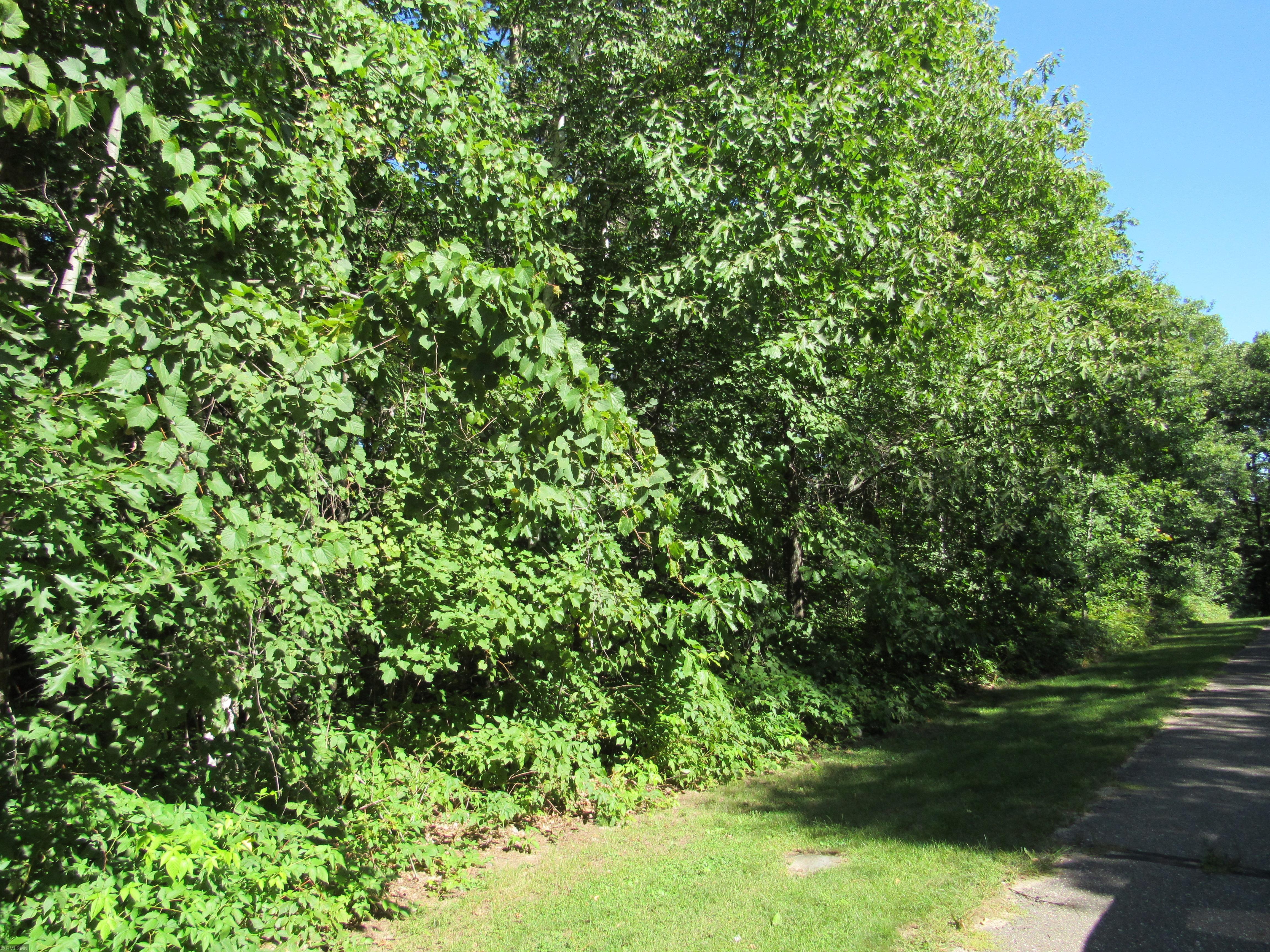 TBD SW Gull Lane Fairview Twp MN 56468 - Gull 5652031 image1