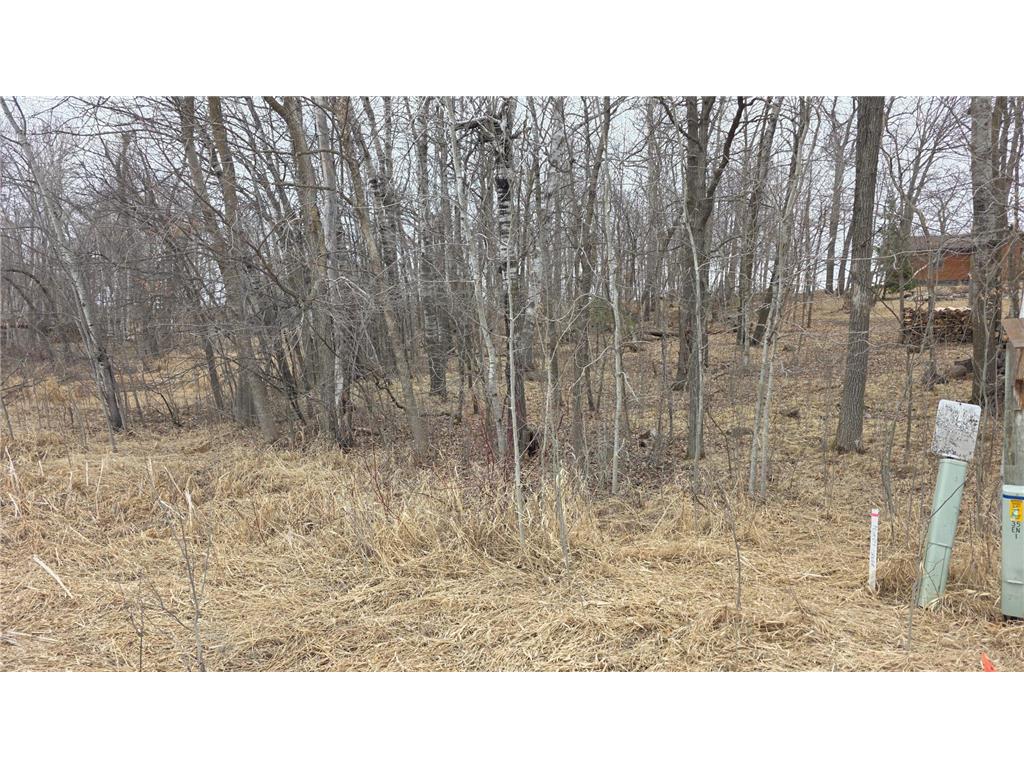TBD SW PICKEREL LAKE Road Detroit Lakes MN 56511 - Pickeral Lake 7056926 image7