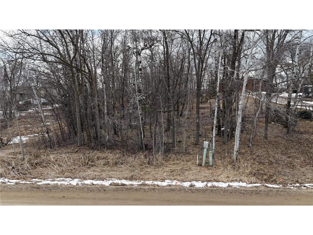 TBD SW PICKEREL LAKE Road Detroit Lakes MN 56511 - Pickeral Lake 7056926 image9