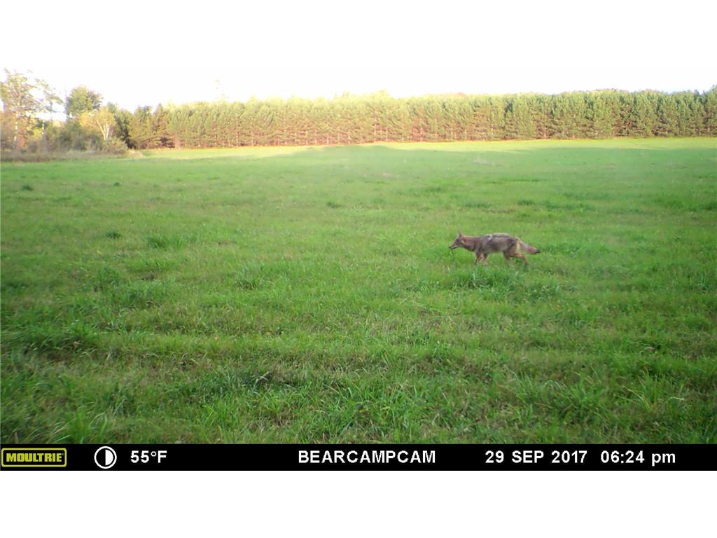 TBD Sage Drive NW Backus MN 56435 - Pine River 6729372 image10