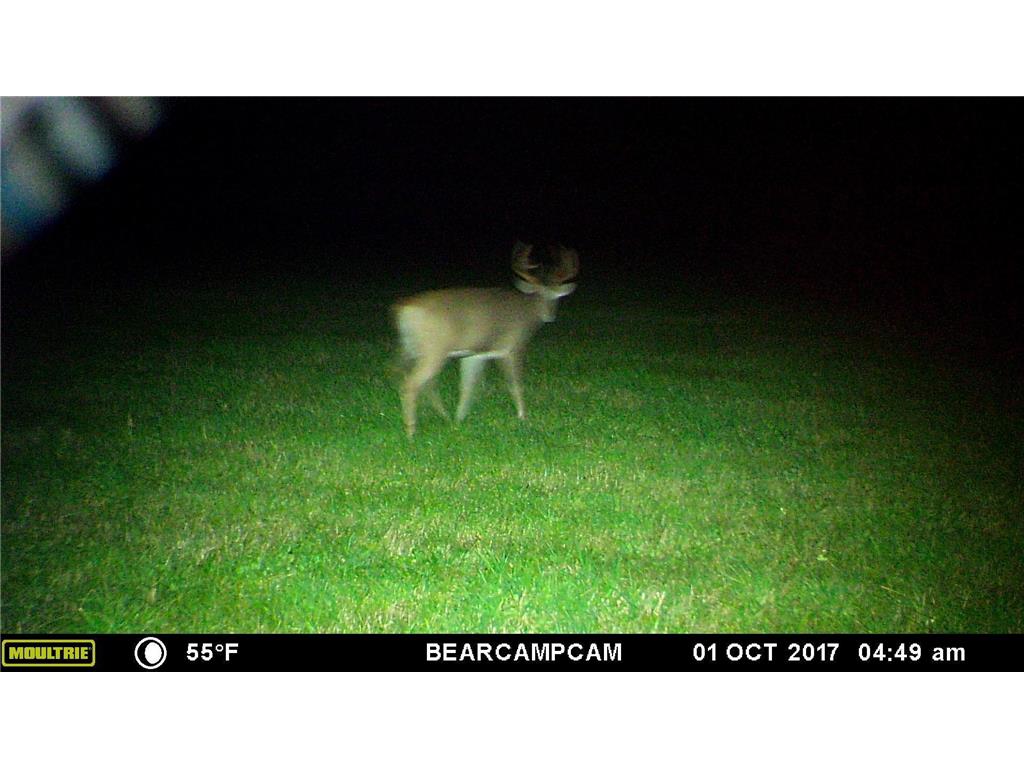 TBD Sage Drive NW Backus MN 56435 - Pine River 6729372 image11