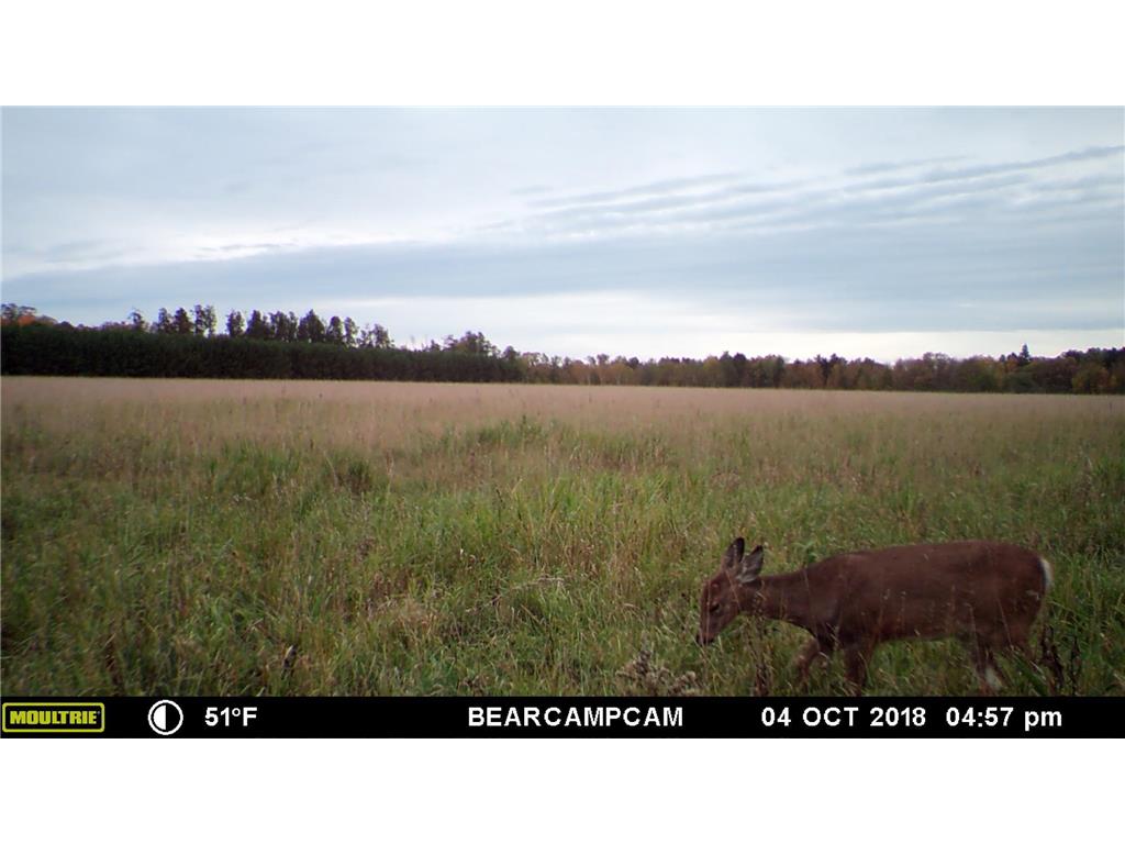 TBD Sage Drive NW Backus MN 56435 - Pine River 6729372 image12