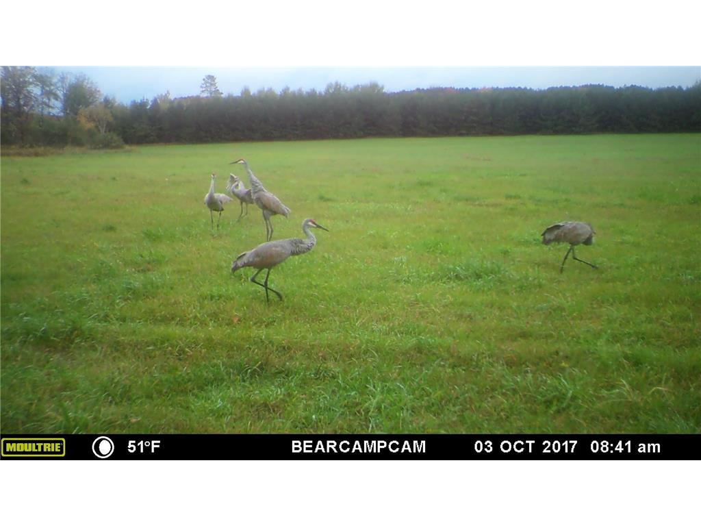 TBD Sage Drive NW Backus MN 56435 - Pine River 6729372 image13