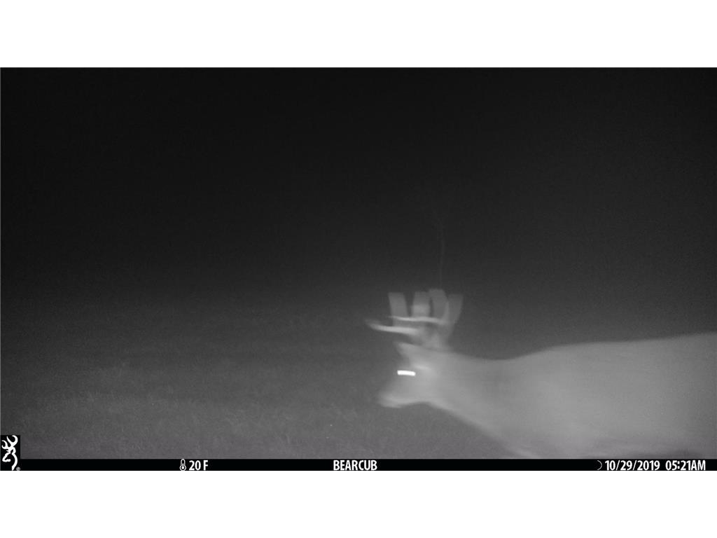 TBD Sage Drive NW Backus MN 56435 - Pine River 6729372 image8