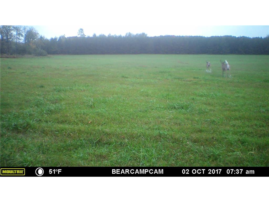 TBD Sage Drive NW Backus MN 56435 - Pine River 6729372 image9