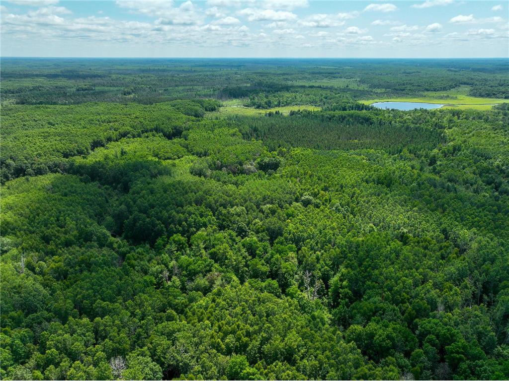 TBD Sago 5 Swan River MN 55784 6753352 image1