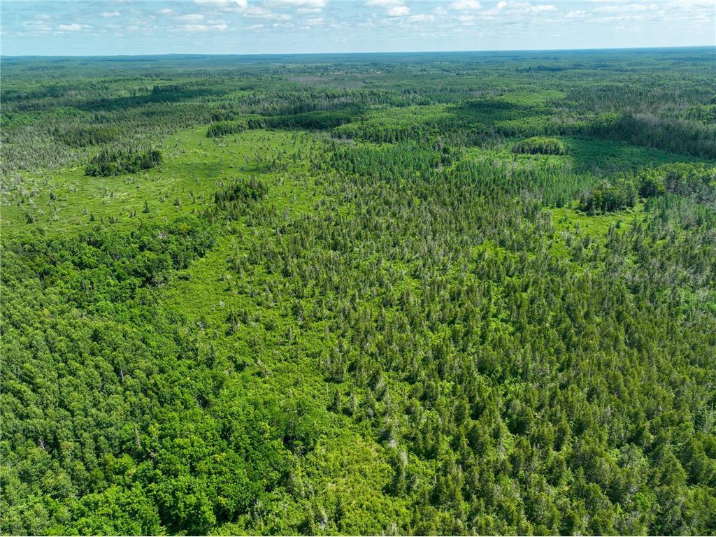 TBD Sago 5 Swan River MN 55784 6753352 image11