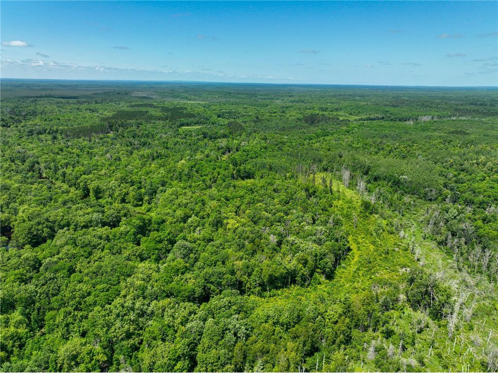 TBD Sago 5 Swan River MN 55784 6753352 image12