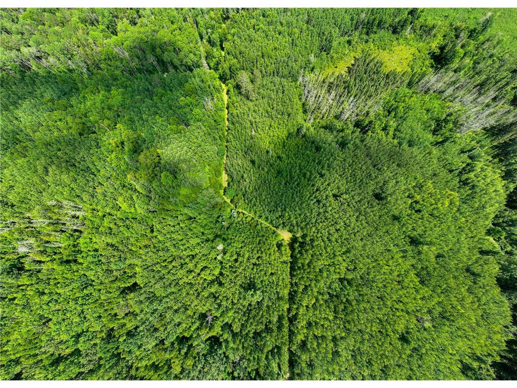 TBD Sago 5 Swan River MN 55784 6753352 image16