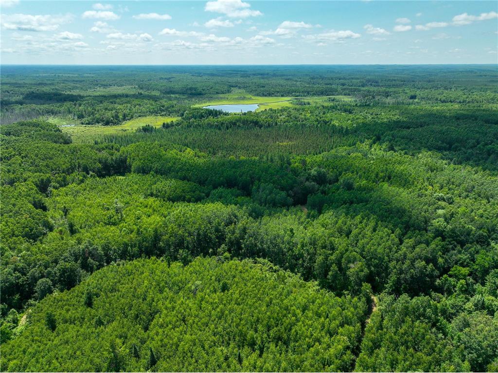 TBD Sago 5 Swan River MN 55784 6753352 image17