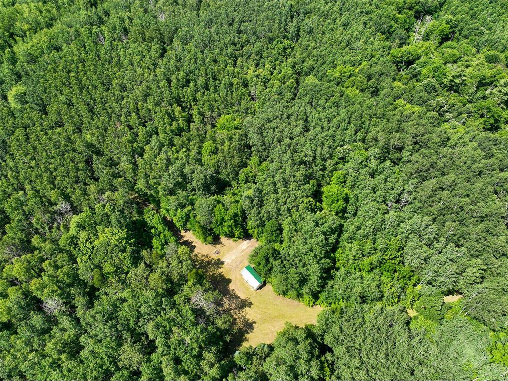 TBD Sago 5 Swan River MN 55784 6753352 image18