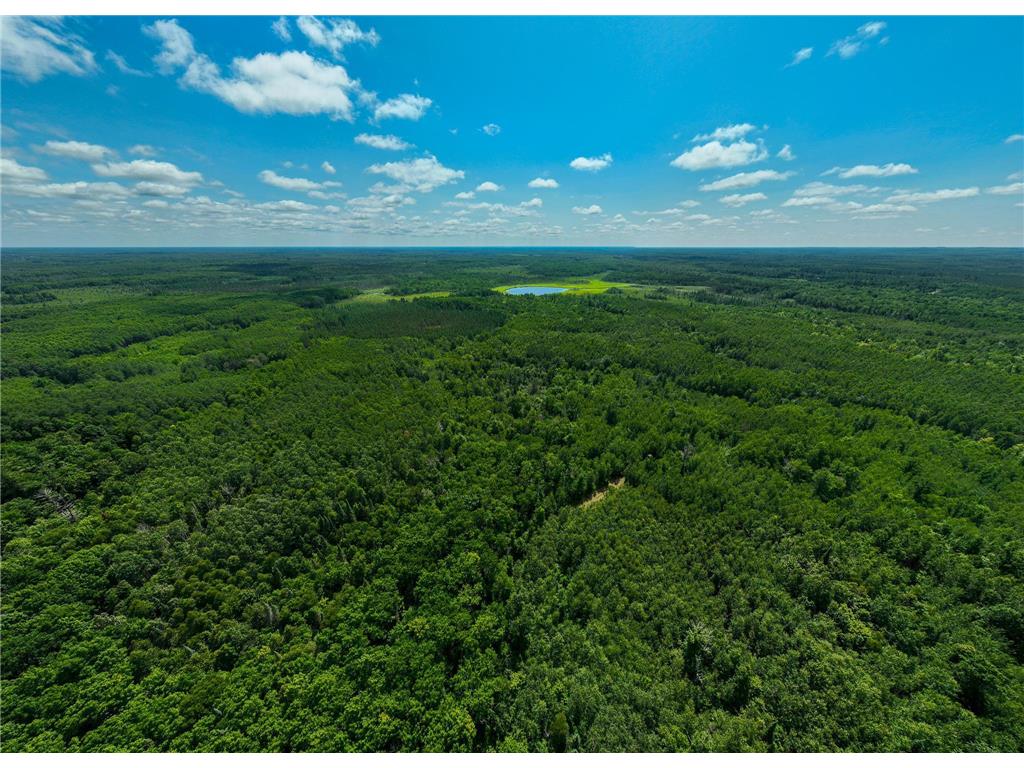 TBD Sago 5 Swan River MN 55784 6753352 image19