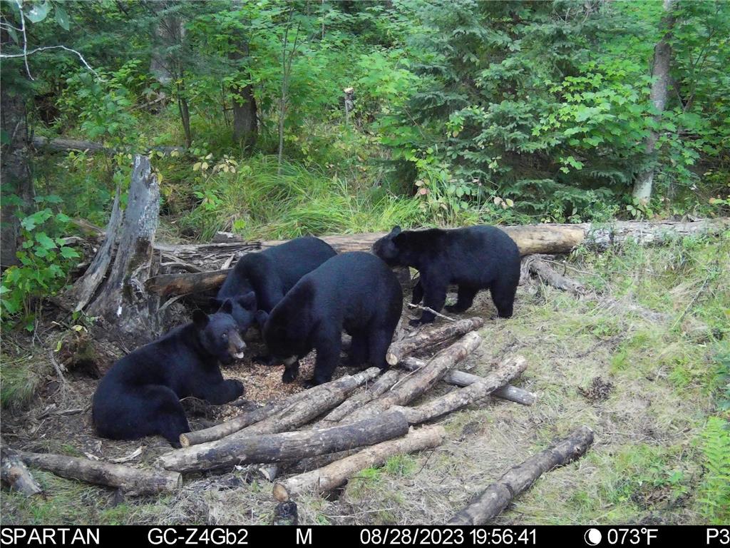 TBD Sago 5 Swan River MN 55784 6753352 image21