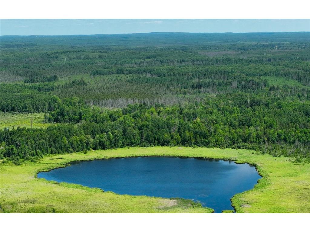 TBD Sago 5 Swan River MN 55784 6753352 image7