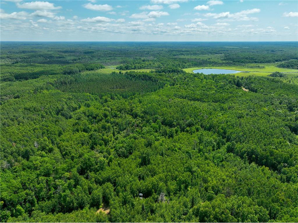 TBD Sago 5 Swan River MN 55784 6753352 image9