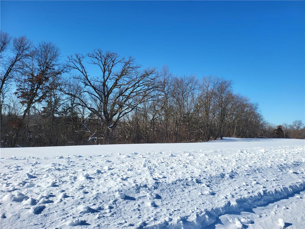 TBD Salley Ridge Ln Cascade Twp MN 55906 6342519 image1