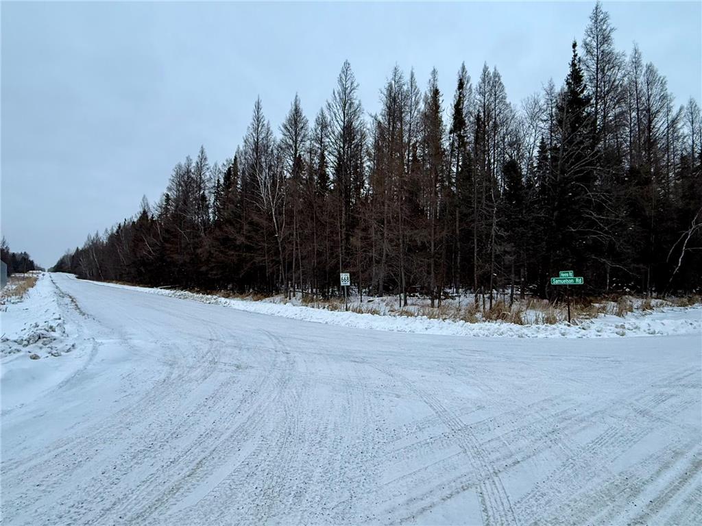 TBD Samuelson Road Angora MN 55703 7014838 image1