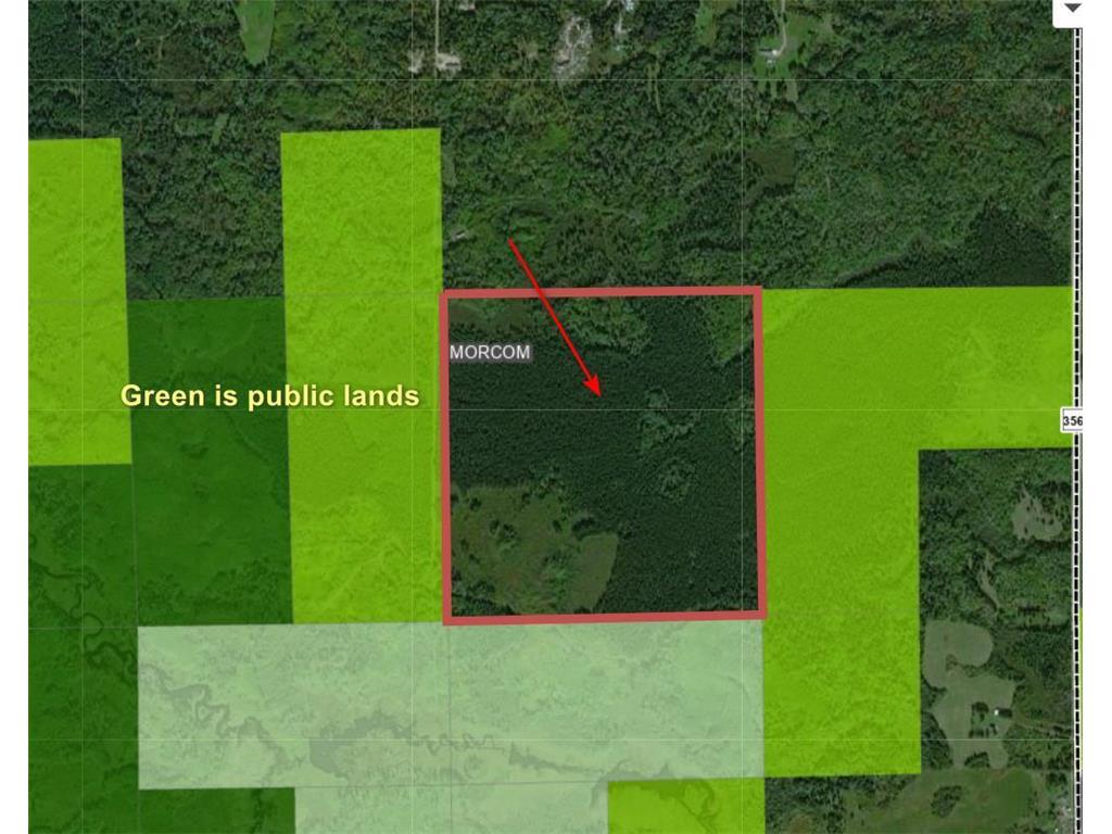 TBD Sand Creek Road Road Morcom Twp MN 55781 6439439 image1