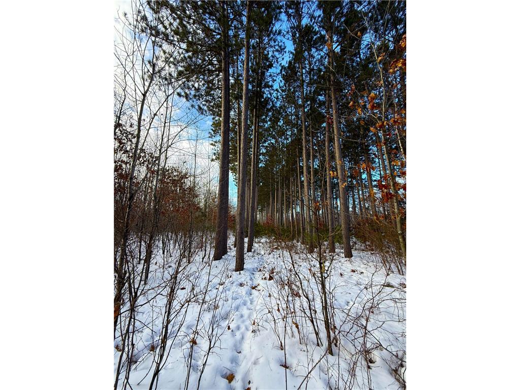 TBD Sand River Road Hinckley MN 55037 7001555 image1