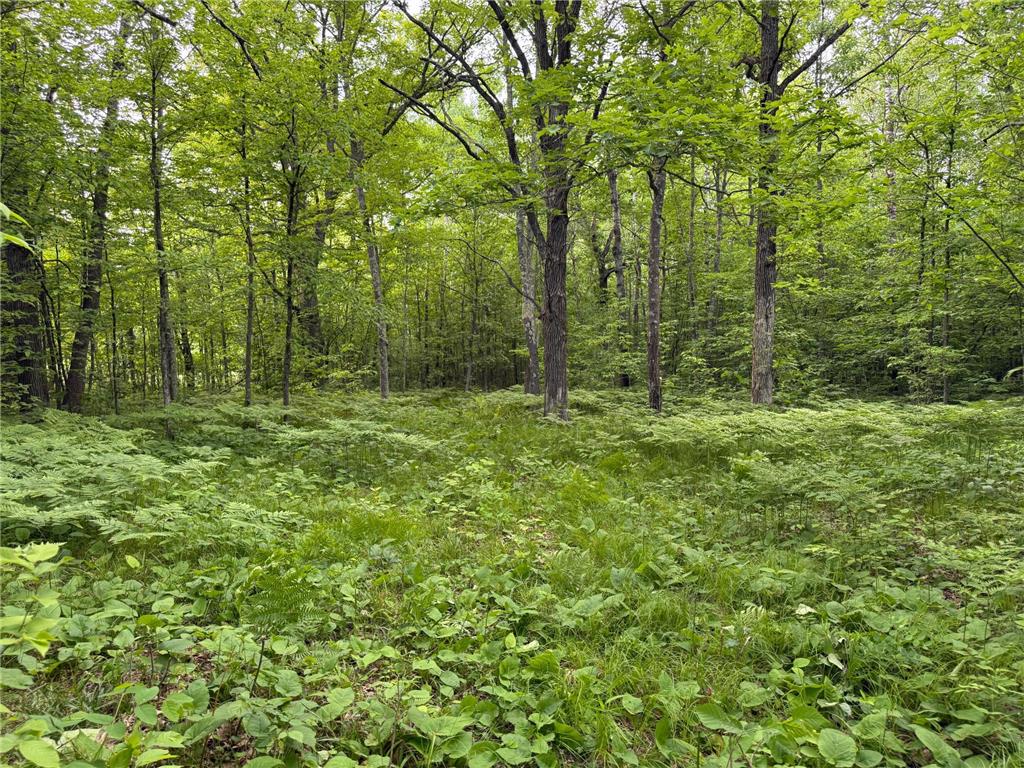 TBD Sandhill Crane Ln Munch Twp MN 55063 7088385 image1