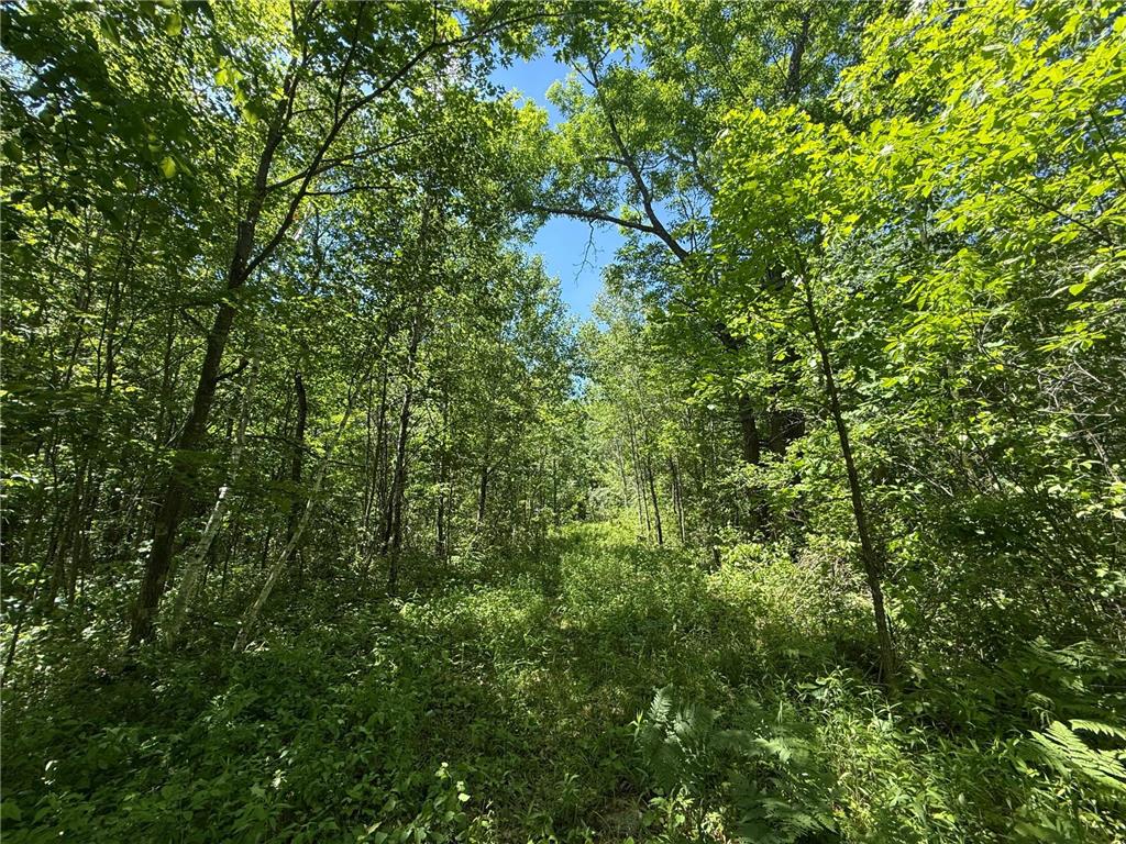 TBD Sandhill Crane Ln Munch Twp MN 55063 7088385 image10