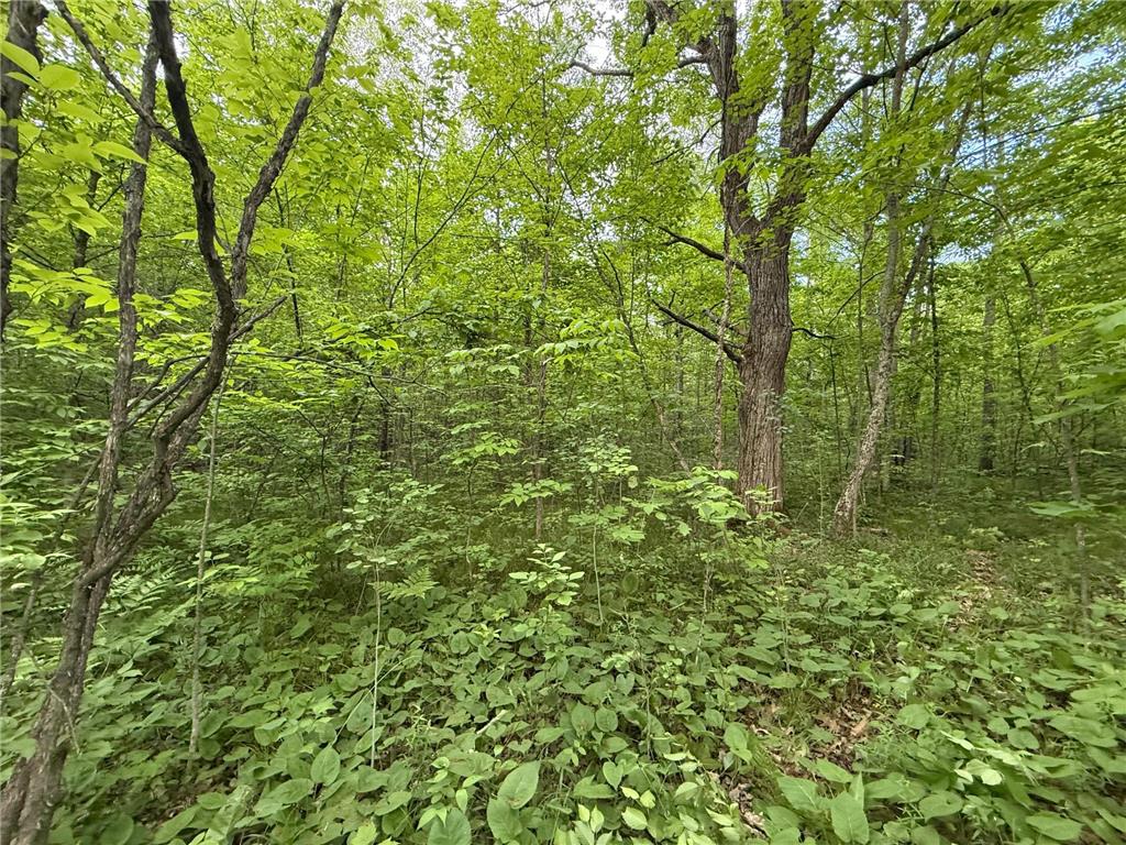 TBD Sandhill Crane Ln Munch Twp MN 55063 7088385 image12