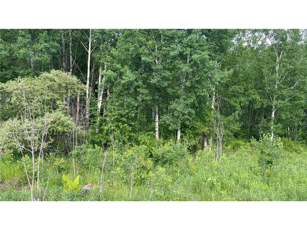 TBD Sandhill Crane Ln Munch Twp MN 55063 7088385 image13
