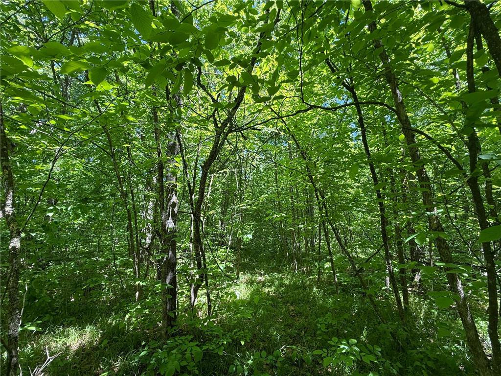 TBD Sandhill Crane Ln Munch Twp MN 55063 7088385 image18