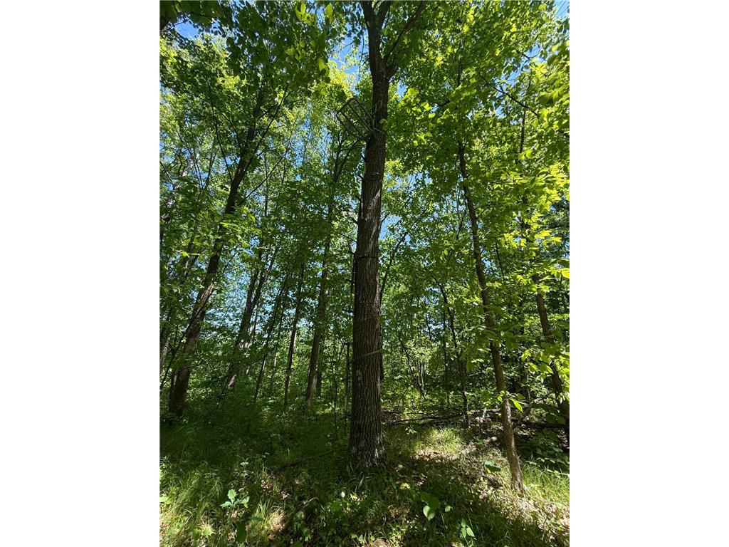TBD Sandhill Crane Ln Munch Twp MN 55063 7088385 image19