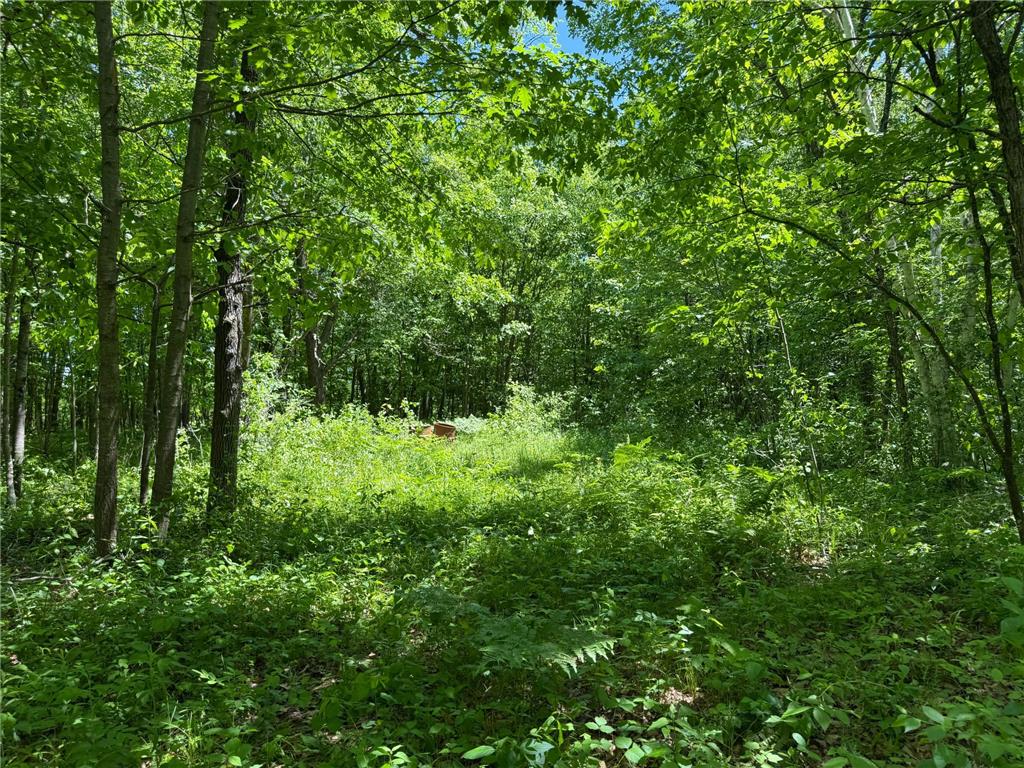 TBD Sandhill Crane Ln Munch Twp MN 55063 7088385 image20