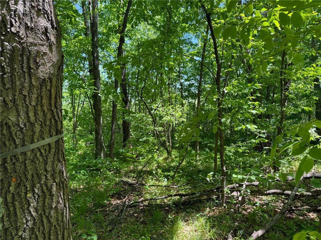 TBD Sandhill Crane Ln Munch Twp MN 55063 7088385 image21