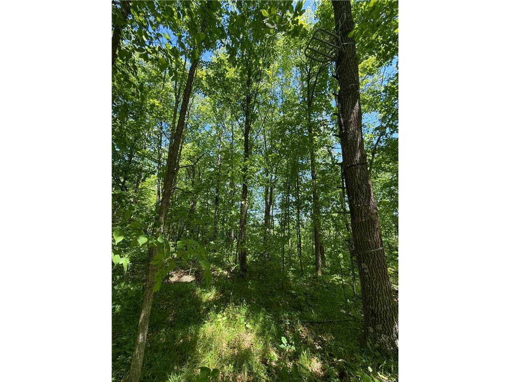 TBD Sandhill Crane Ln Munch Twp MN 55063 7088385 image22