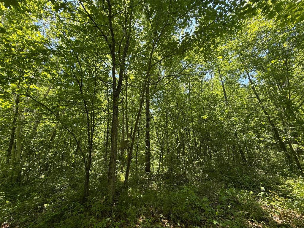 TBD Sandhill Crane Ln Munch Twp MN 55063 7088385 image7