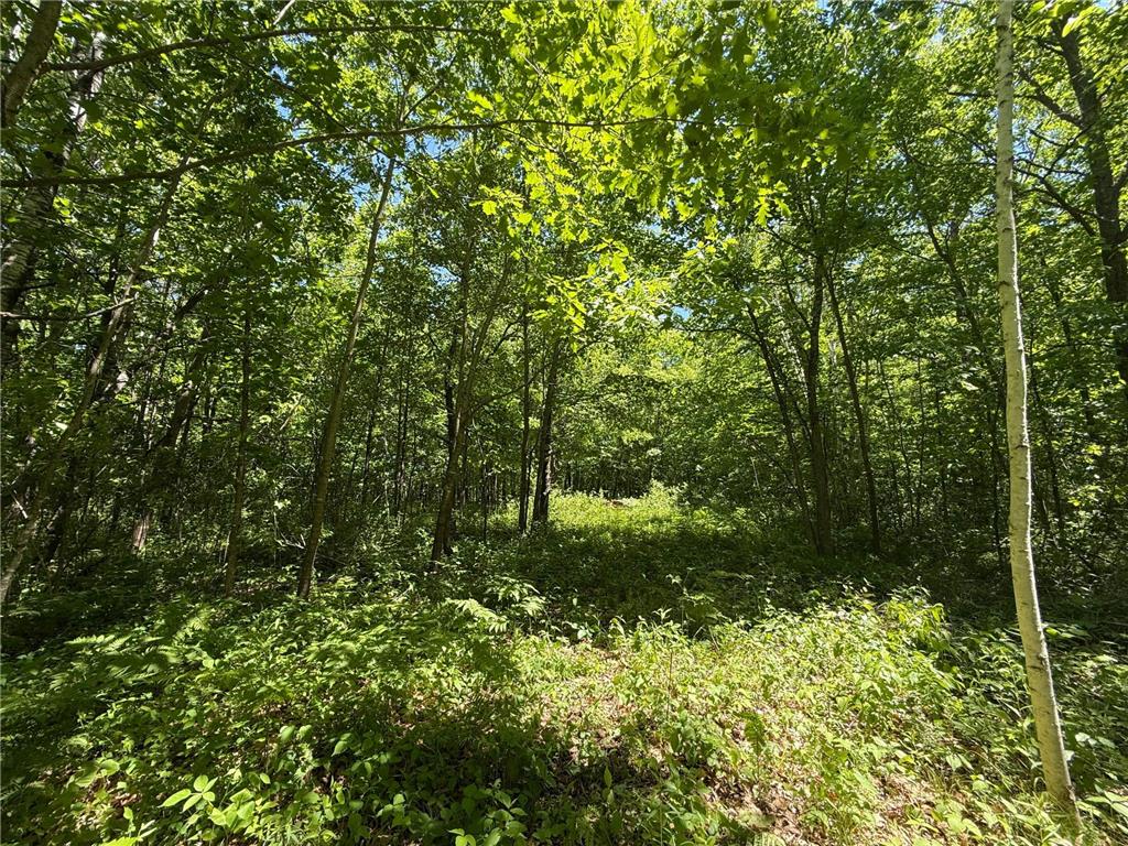 TBD Sandhill Crane Ln Munch Twp MN 55063 7088385 image9