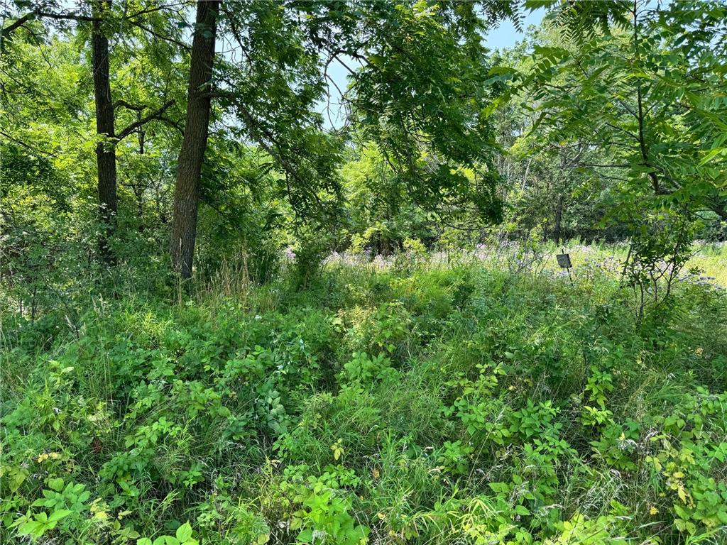 TBD Sandy Point Court NE Rochester MN 55906 7001416 image16