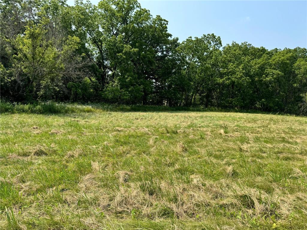 TBD Sandy Point Court NE Rochester MN 55906 7001416 image21