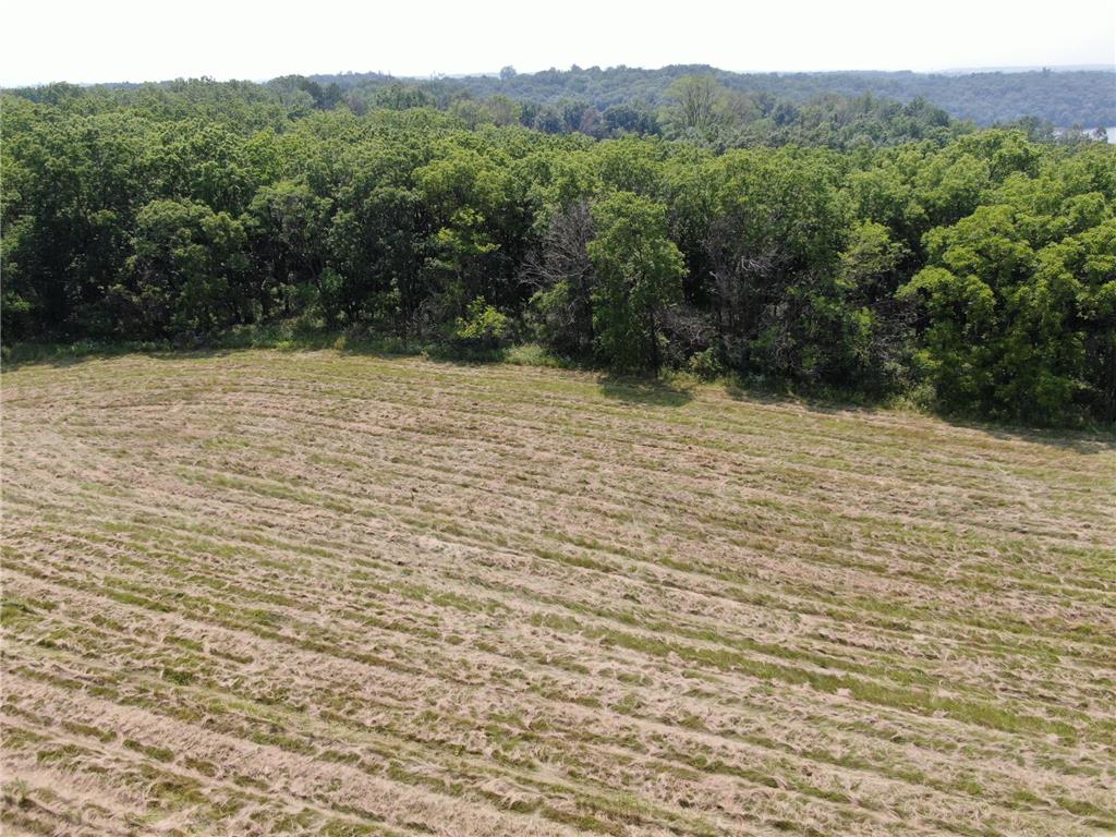 TBD Sandy Point Court NE Rochester MN 55906 7001416 image24