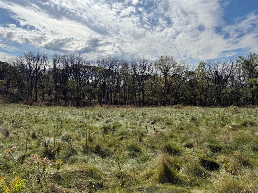 TBD Sandy Point Court NE Rochester MN 55906 7001416 image33