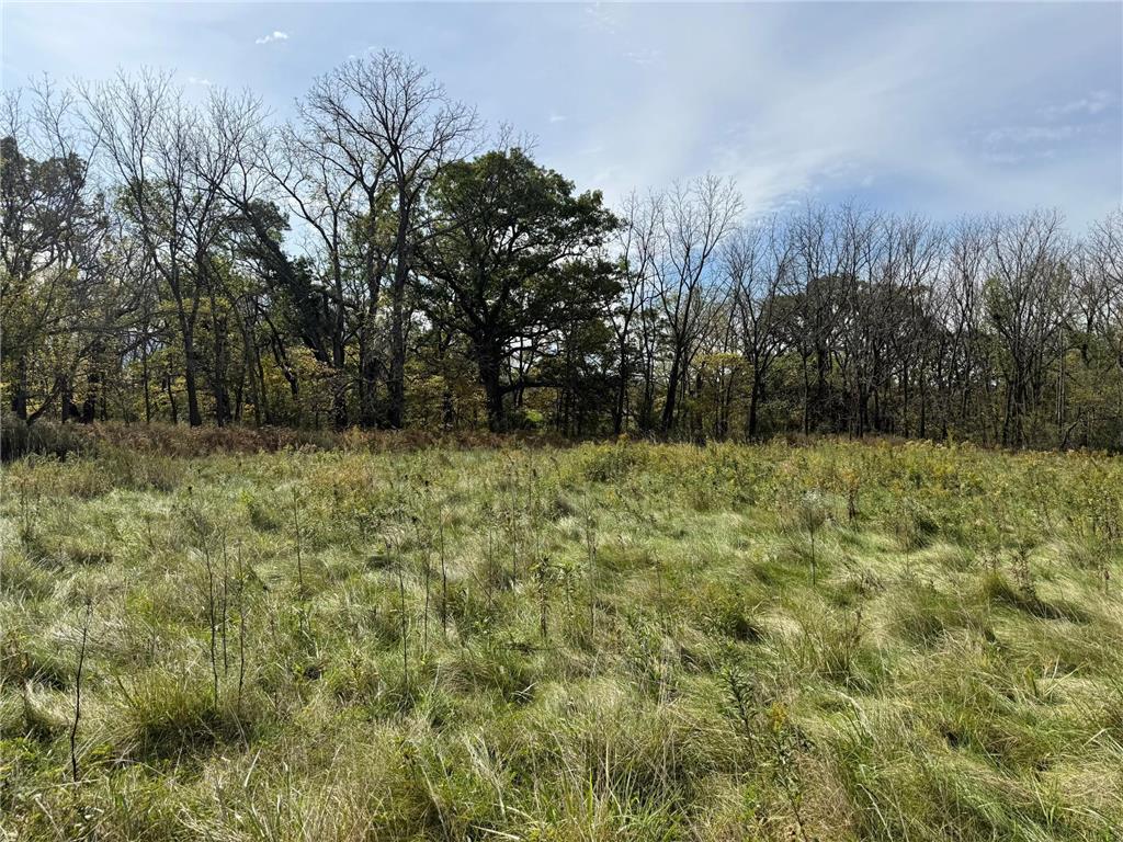 TBD Sandy Point Court NE Rochester MN 55906 7001416 image36