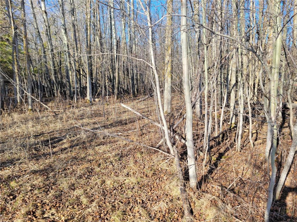 TBD Sandy Shores Drive NW Williams MN 56686 - Lake of The Woods 7066011 image5