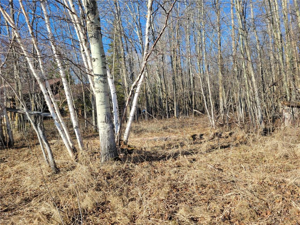TBD Sandy Shores Drive NW Williams MN 56686 - Lake of The Woods 7066011 image6