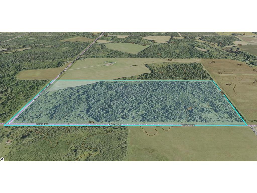 TBD Saralampi Road Toivola MN 55765 7021759 image9