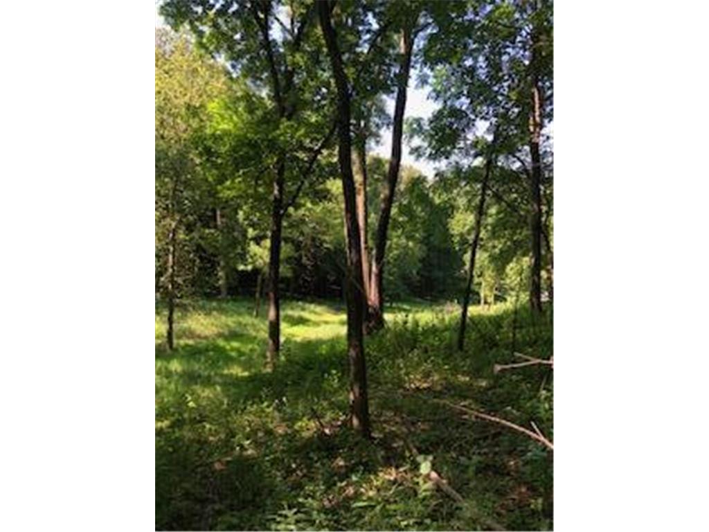 TBD Saratoga Street Mankato MN 56001 7021868 image5